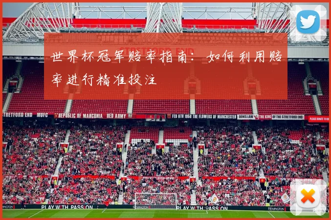 世界杯冠军赔率指南:如何利用赔率进行精准投注