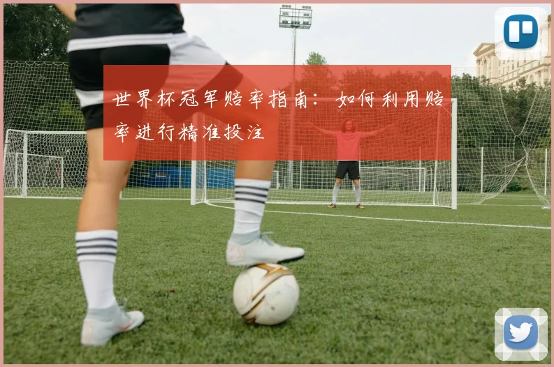 世界杯冠军赔率指南：如何利用赔率进行精准投注