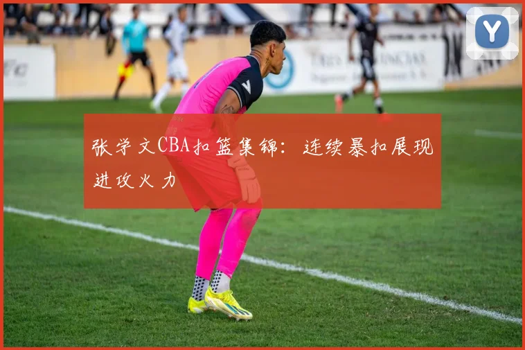 张学文CBA扣篮集锦：连续暴扣展现进攻火力