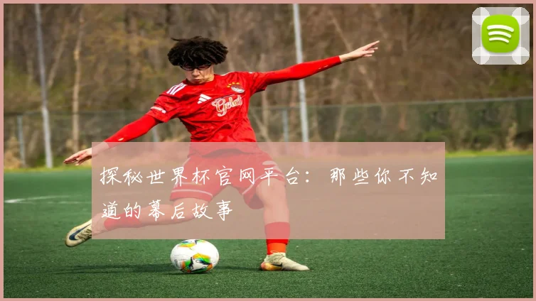 探秘世界杯官网平台:那些你不知道的幕后故事