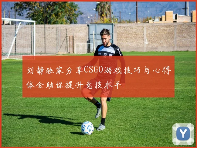 刘静独家分享CSGO游戏技巧与心得体会助你提升竞技水平