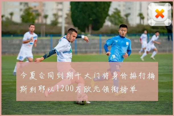 今夏合同到期十大门将身价排行梅斯利耶以1200万欧元领衔榜单