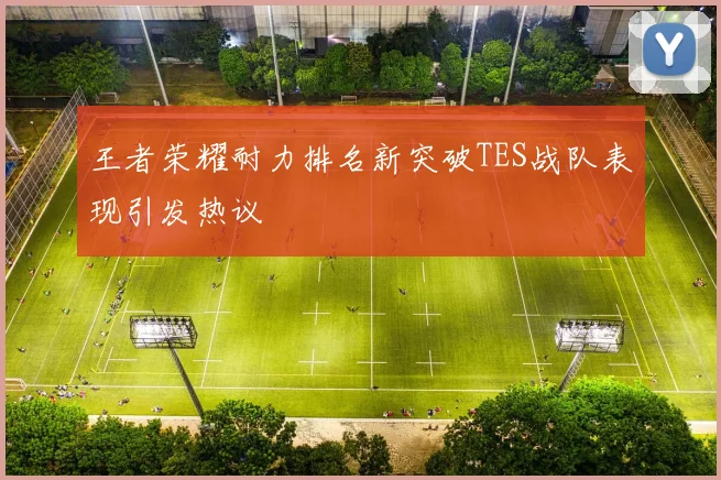 王者荣耀耐力排名新突破TES战队表现引发热议