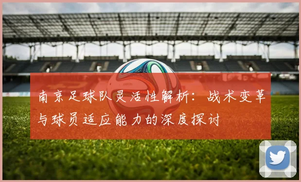 南京足球队灵活性解析：战术变革与球员适应能力的深度探讨