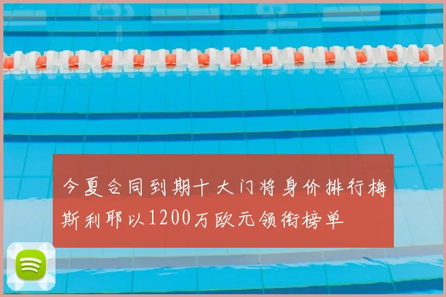 今夏合同到期十大门将身价排行梅斯利耶以1200万欧元领衔榜单