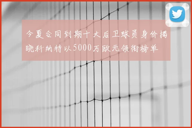 今夏合同到期十大后卫球员身价揭晓科纳特以5000万欧元领衔榜单